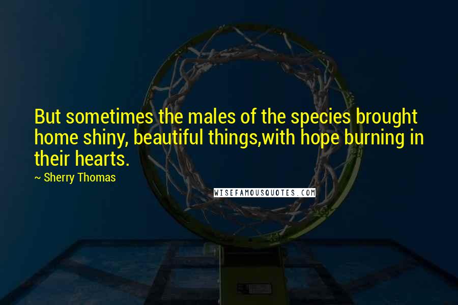 Sherry Thomas Quotes: But sometimes the males of the species brought home shiny, beautiful things,with hope burning in their hearts.
