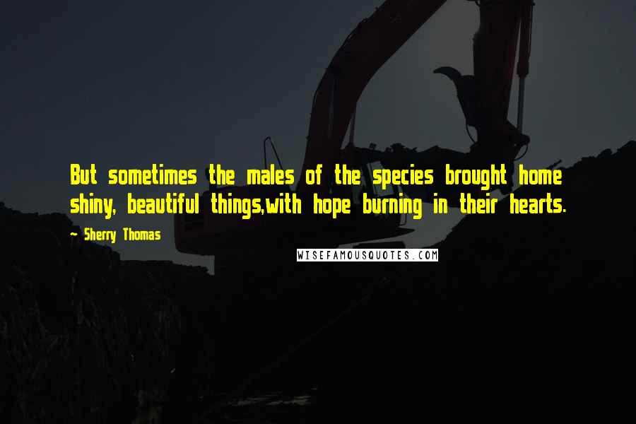 Sherry Thomas Quotes: But sometimes the males of the species brought home shiny, beautiful things,with hope burning in their hearts.