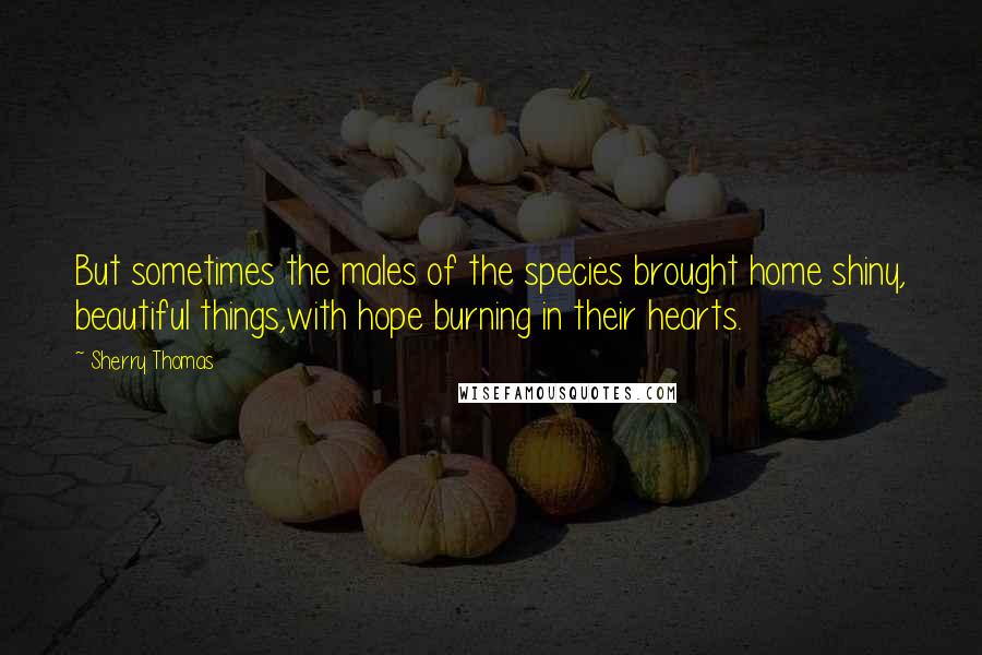 Sherry Thomas Quotes: But sometimes the males of the species brought home shiny, beautiful things,with hope burning in their hearts.