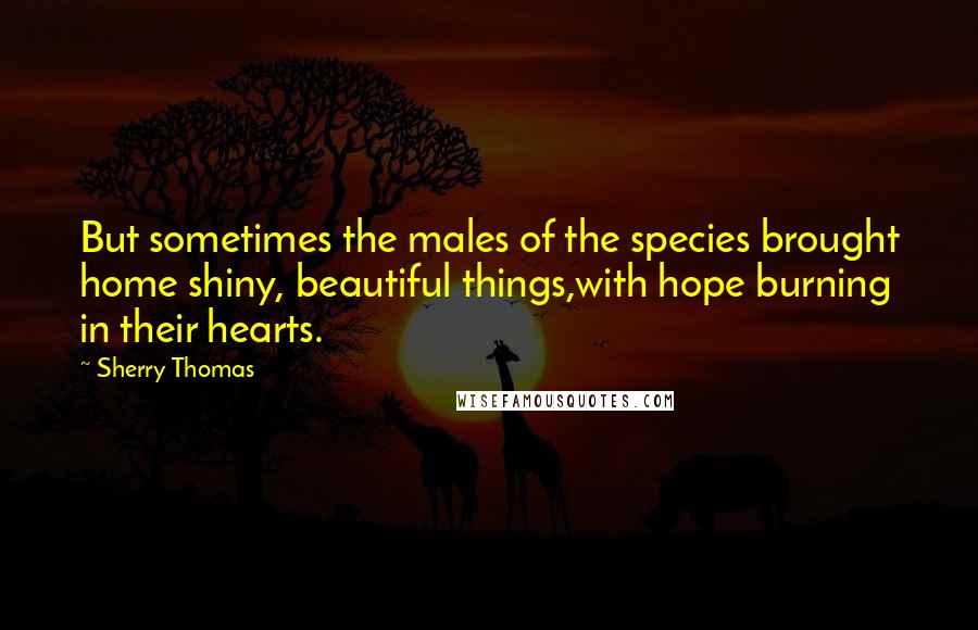 Sherry Thomas Quotes: But sometimes the males of the species brought home shiny, beautiful things,with hope burning in their hearts.
