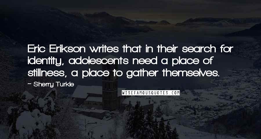 Sherry Turkle Quotes: Eric Erikson writes that in their search for identity, adolescents need a place of stillness, a place to gather themselves.