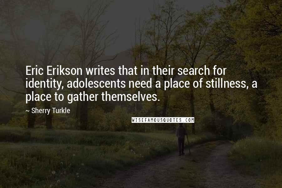 Sherry Turkle Quotes: Eric Erikson writes that in their search for identity, adolescents need a place of stillness, a place to gather themselves.