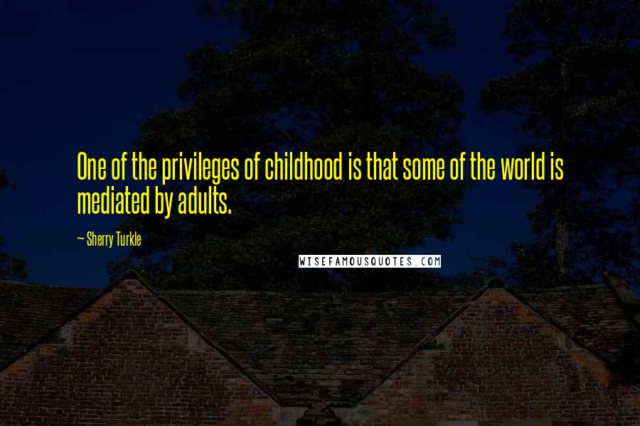 Sherry Turkle Quotes: One of the privileges of childhood is that some of the world is mediated by adults.