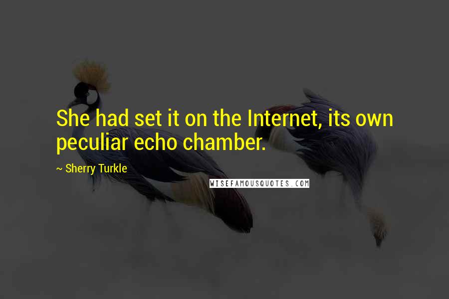 Sherry Turkle Quotes: She had set it on the Internet, its own peculiar echo chamber.