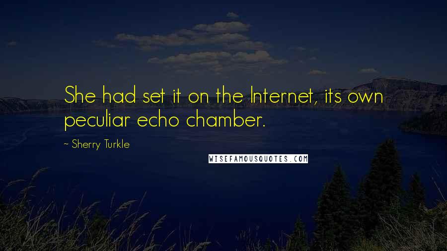 Sherry Turkle Quotes: She had set it on the Internet, its own peculiar echo chamber.