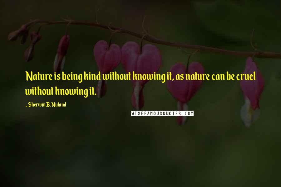 Sherwin B. Nuland Quotes: Nature is being kind without knowing it, as nature can be cruel without knowing it.