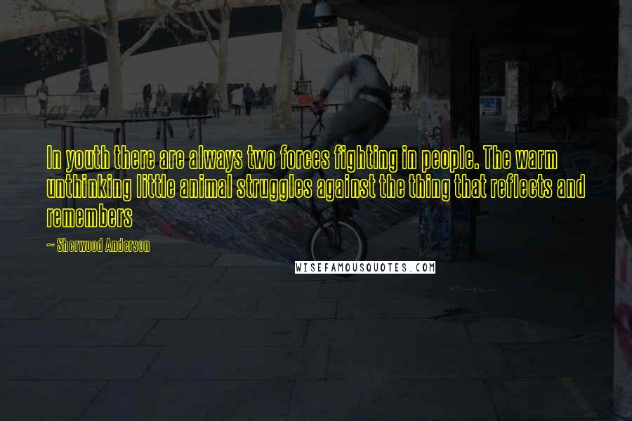 Sherwood Anderson Quotes: In youth there are always two forces fighting in people. The warm unthinking little animal struggles against the thing that reflects and remembers