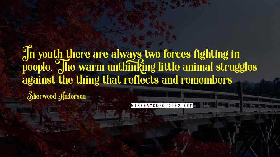 Sherwood Anderson Quotes: In youth there are always two forces fighting in people. The warm unthinking little animal struggles against the thing that reflects and remembers
