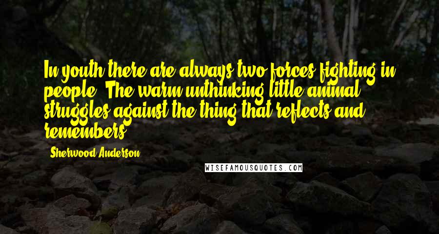 Sherwood Anderson Quotes: In youth there are always two forces fighting in people. The warm unthinking little animal struggles against the thing that reflects and remembers