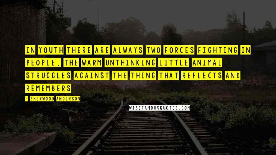 Sherwood Anderson Quotes: In youth there are always two forces fighting in people. The warm unthinking little animal struggles against the thing that reflects and remembers