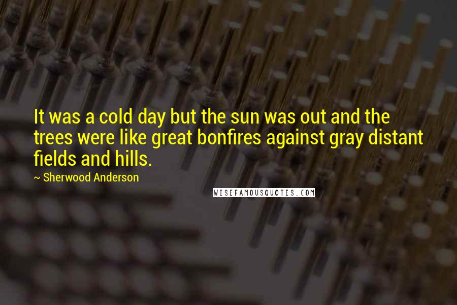 Sherwood Anderson Quotes: It was a cold day but the sun was out and the trees were like great bonfires against gray distant fields and hills.