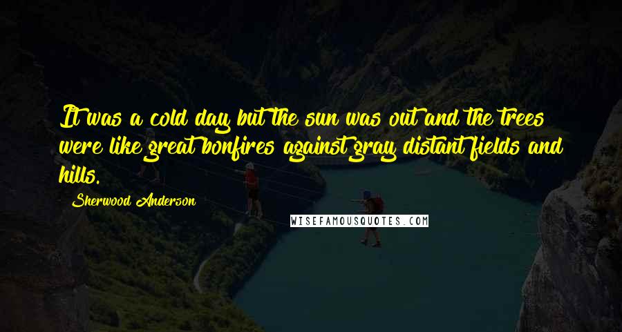 Sherwood Anderson Quotes: It was a cold day but the sun was out and the trees were like great bonfires against gray distant fields and hills.