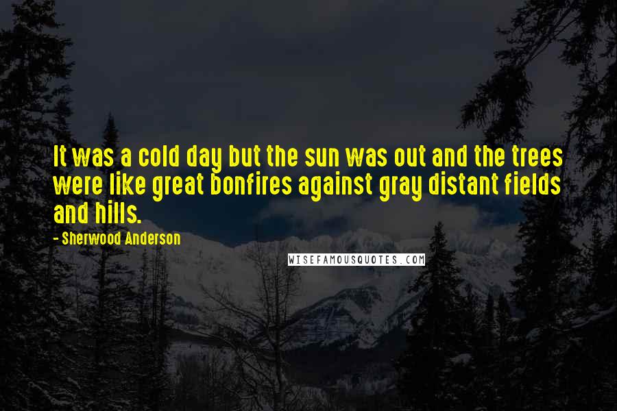 Sherwood Anderson Quotes: It was a cold day but the sun was out and the trees were like great bonfires against gray distant fields and hills.