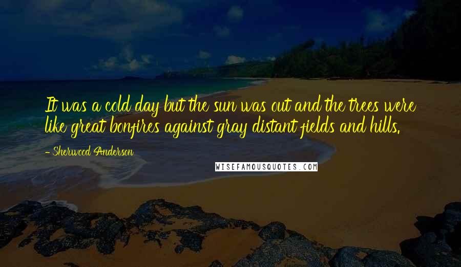 Sherwood Anderson Quotes: It was a cold day but the sun was out and the trees were like great bonfires against gray distant fields and hills.