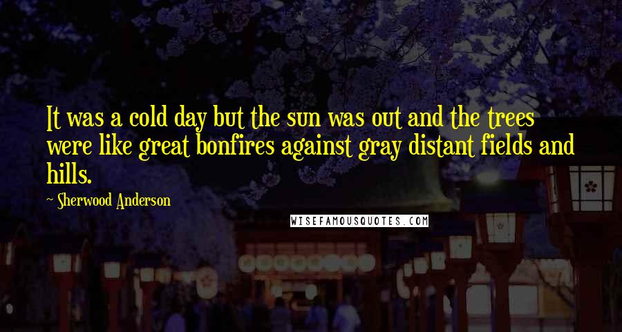 Sherwood Anderson Quotes: It was a cold day but the sun was out and the trees were like great bonfires against gray distant fields and hills.