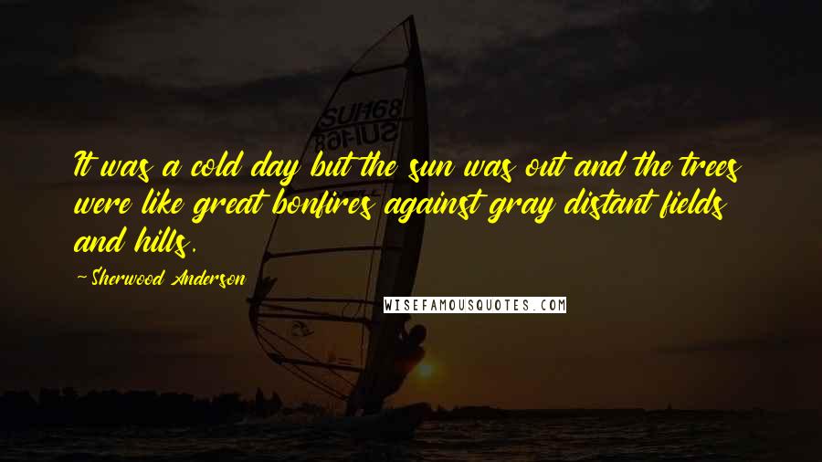 Sherwood Anderson Quotes: It was a cold day but the sun was out and the trees were like great bonfires against gray distant fields and hills.