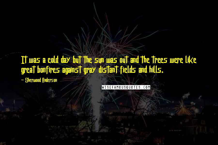 Sherwood Anderson Quotes: It was a cold day but the sun was out and the trees were like great bonfires against gray distant fields and hills.