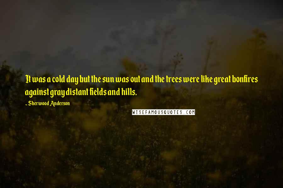 Sherwood Anderson Quotes: It was a cold day but the sun was out and the trees were like great bonfires against gray distant fields and hills.