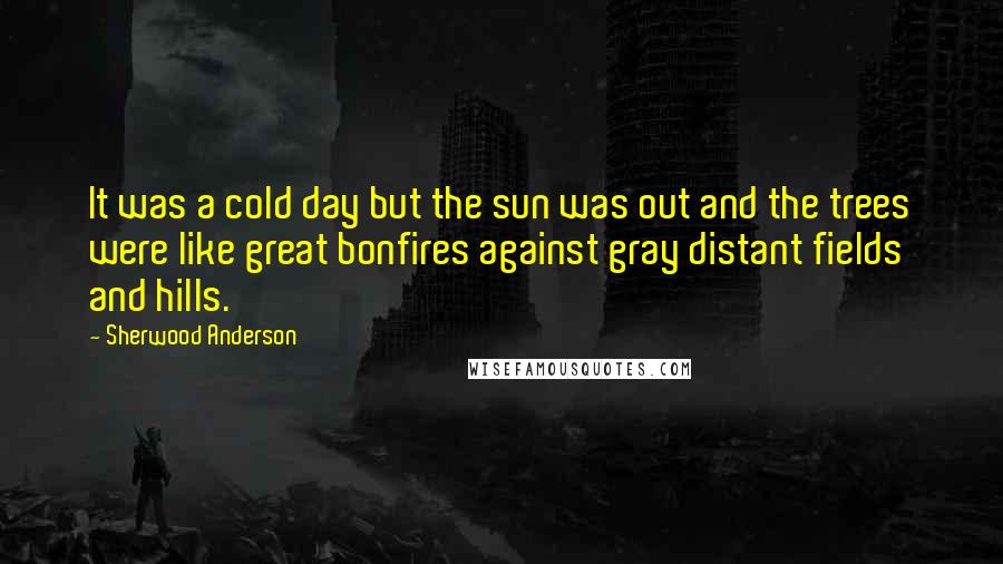 Sherwood Anderson Quotes: It was a cold day but the sun was out and the trees were like great bonfires against gray distant fields and hills.