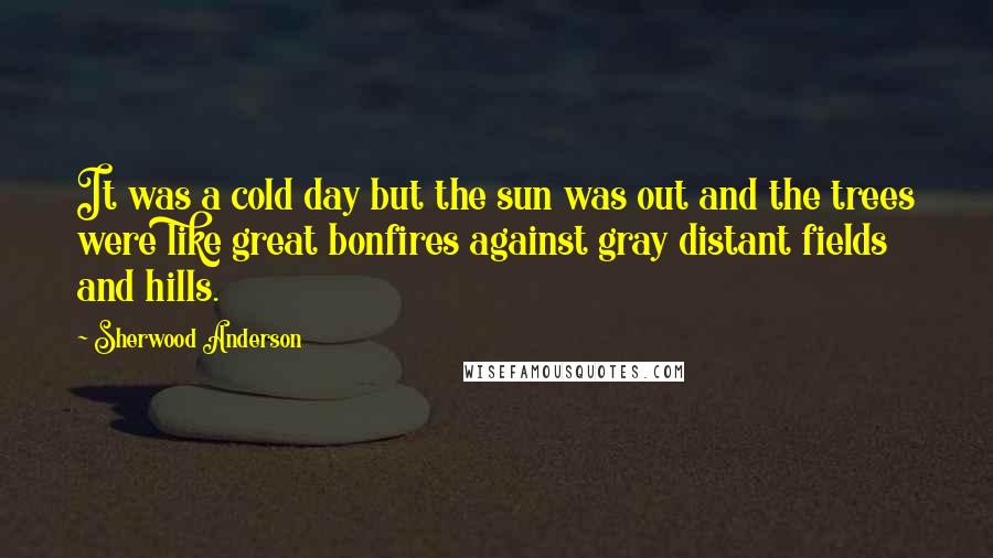 Sherwood Anderson Quotes: It was a cold day but the sun was out and the trees were like great bonfires against gray distant fields and hills.