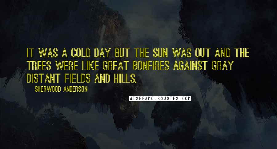 Sherwood Anderson Quotes: It was a cold day but the sun was out and the trees were like great bonfires against gray distant fields and hills.