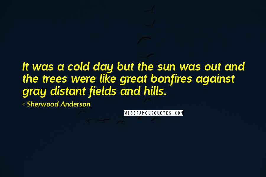 Sherwood Anderson Quotes: It was a cold day but the sun was out and the trees were like great bonfires against gray distant fields and hills.