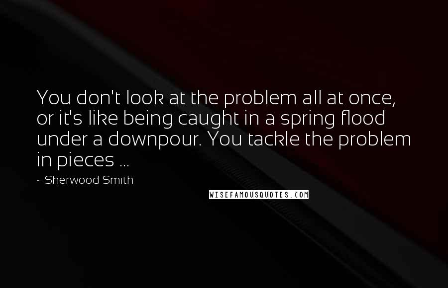 Sherwood Smith Quotes: You don't look at the problem all at once, or it's like being caught in a spring flood under a downpour. You tackle the problem in pieces ...