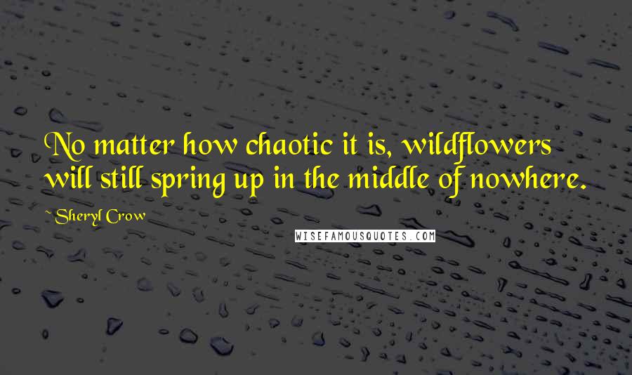 Sheryl Crow Quotes: No matter how chaotic it is, wildflowers will still spring up in the middle of nowhere.