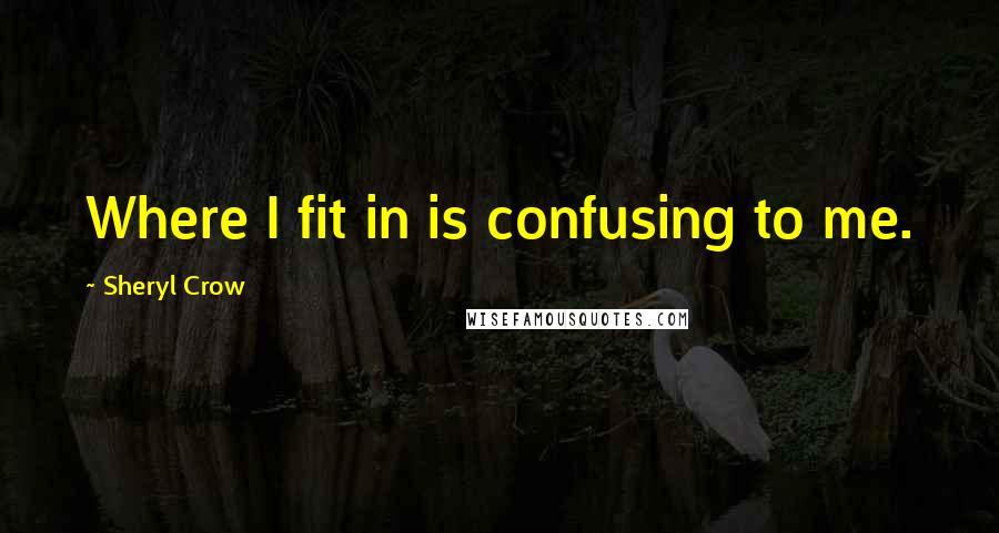 Sheryl Crow Quotes: Where I fit in is confusing to me.