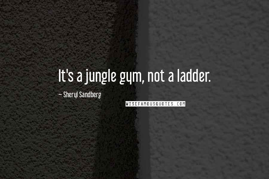 Sheryl Sandberg Quotes: It's a jungle gym, not a ladder.