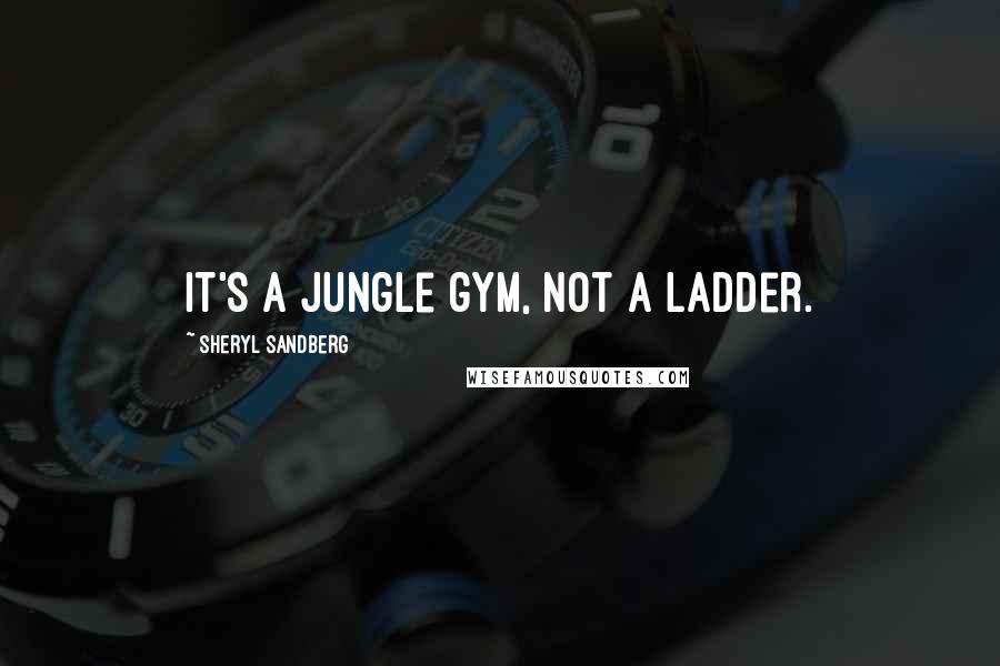 Sheryl Sandberg Quotes: It's a jungle gym, not a ladder.