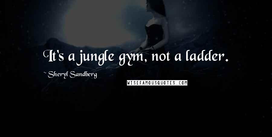 Sheryl Sandberg Quotes: It's a jungle gym, not a ladder.