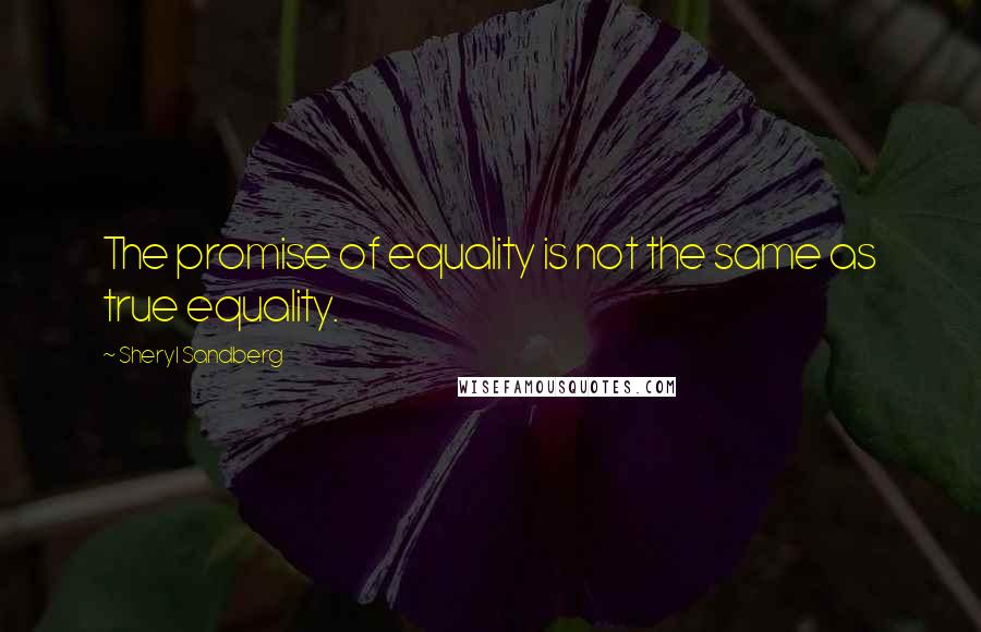 Sheryl Sandberg Quotes: The promise of equality is not the same as true equality.