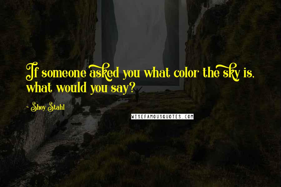 Shey Stahl Quotes: If someone asked you what color the sky is, what would you say?