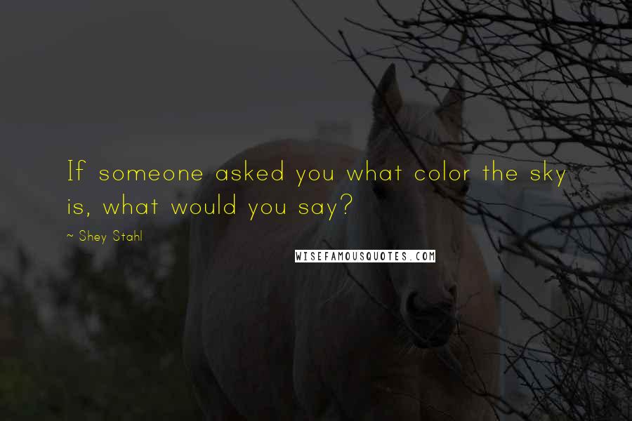 Shey Stahl Quotes: If someone asked you what color the sky is, what would you say?