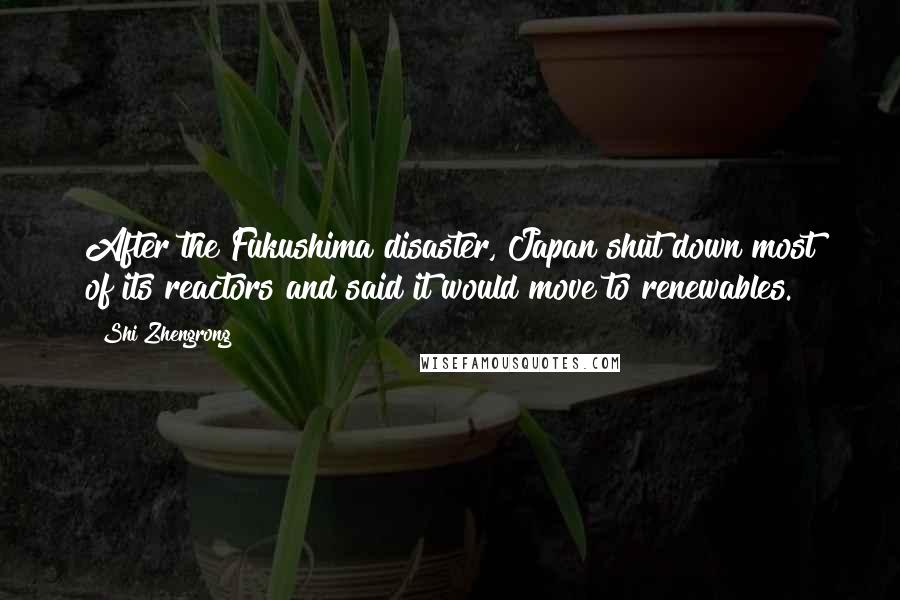 Shi Zhengrong Quotes: After the Fukushima disaster, Japan shut down most of its reactors and said it would move to renewables.