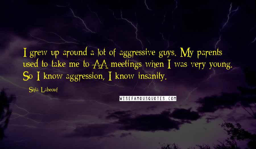 Shia Labeouf Quotes: I grew up around a lot of aggressive guys. My parents used to take me to AA meetings when I was very young. So I know aggression, I know insanity.