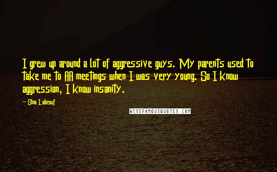 Shia Labeouf Quotes: I grew up around a lot of aggressive guys. My parents used to take me to AA meetings when I was very young. So I know aggression, I know insanity.