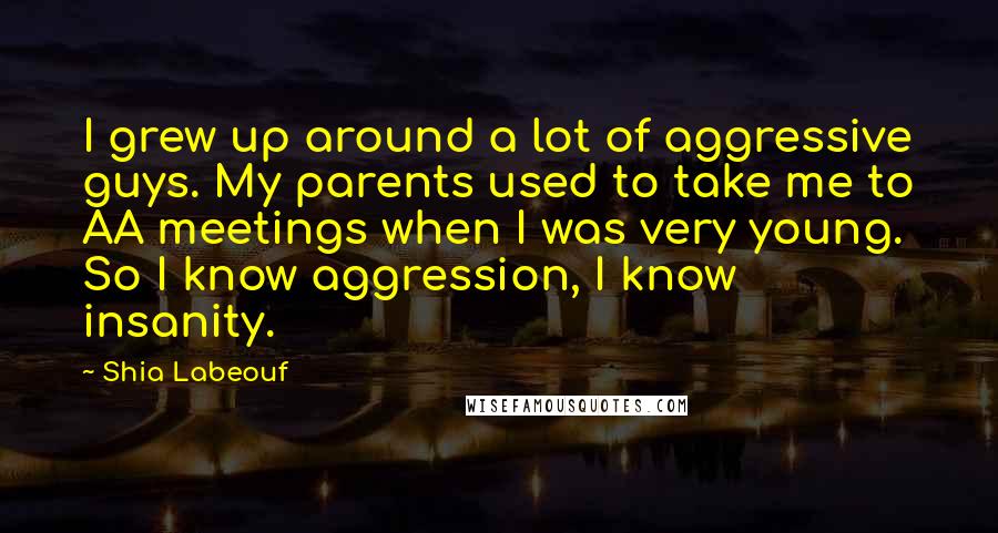 Shia Labeouf Quotes: I grew up around a lot of aggressive guys. My parents used to take me to AA meetings when I was very young. So I know aggression, I know insanity.
