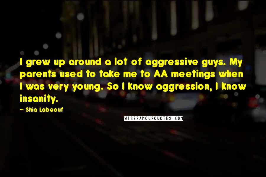 Shia Labeouf Quotes: I grew up around a lot of aggressive guys. My parents used to take me to AA meetings when I was very young. So I know aggression, I know insanity.