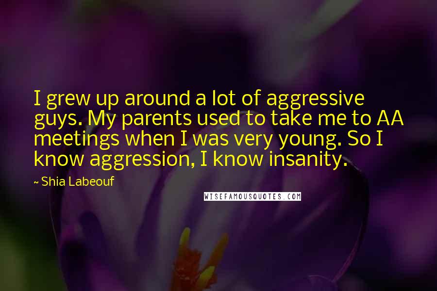 Shia Labeouf Quotes: I grew up around a lot of aggressive guys. My parents used to take me to AA meetings when I was very young. So I know aggression, I know insanity.