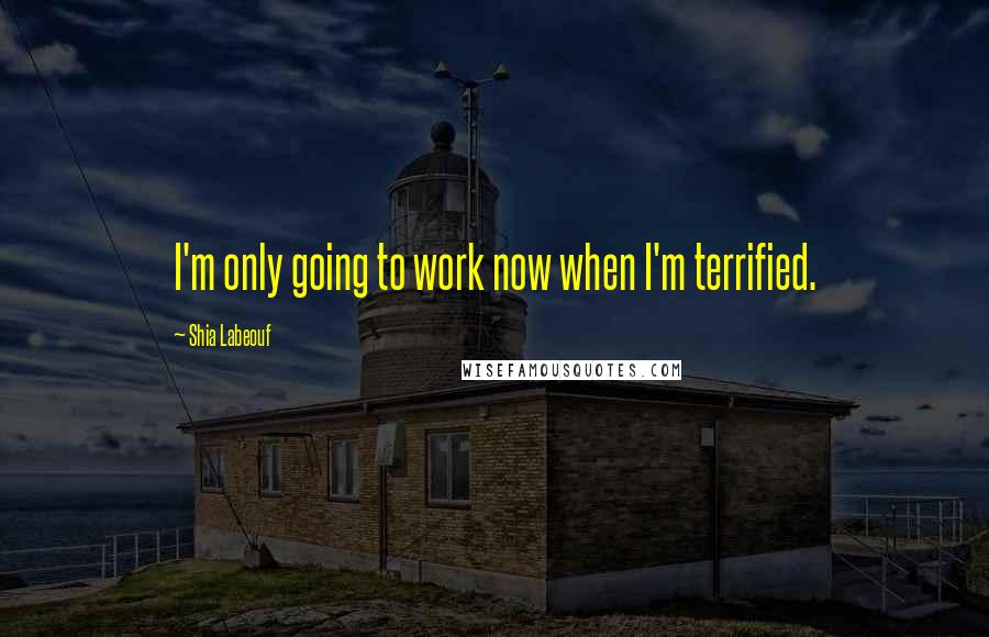 Shia Labeouf Quotes: I'm only going to work now when I'm terrified.