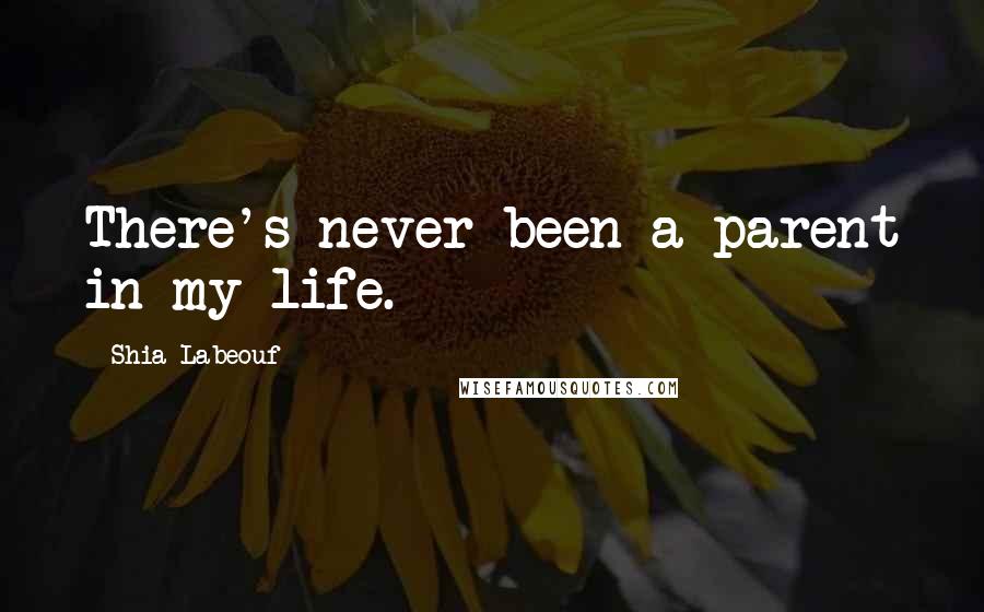 Shia Labeouf Quotes: There's never been a parent in my life.