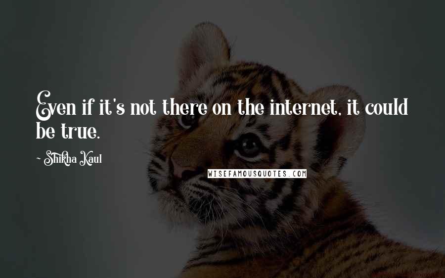 Shikha Kaul Quotes: Even if it's not there on the internet, it could be true.