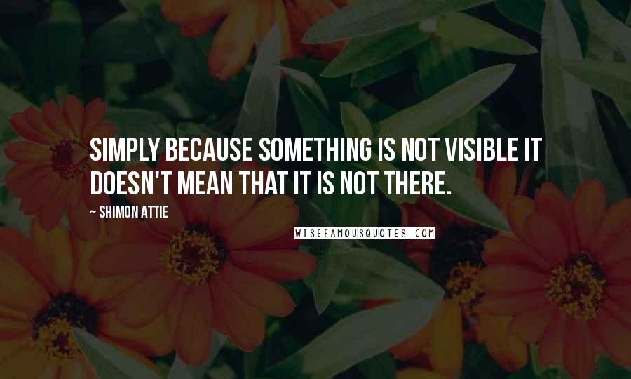 Shimon Attie Quotes: Simply because something is not visible it doesn't mean that it is not there.