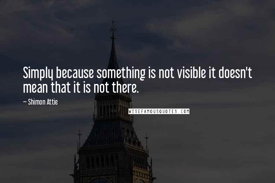 Shimon Attie Quotes: Simply because something is not visible it doesn't mean that it is not there.