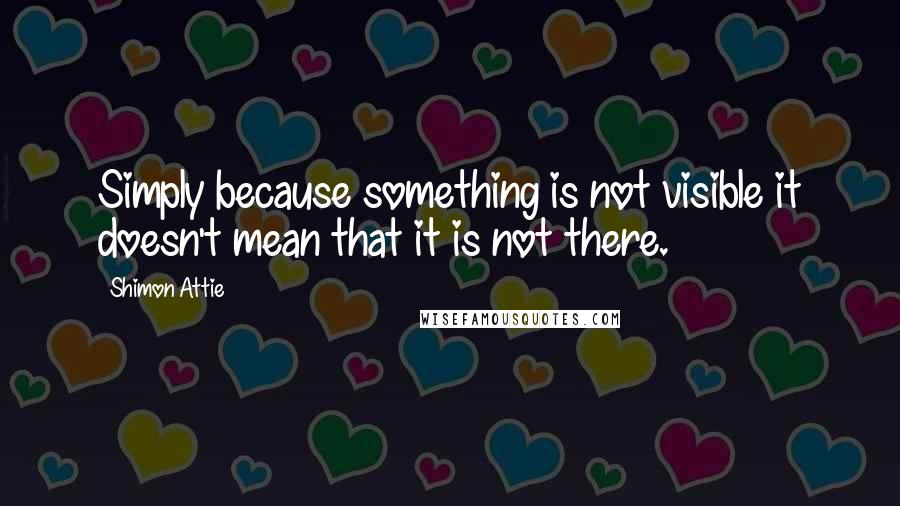 Shimon Attie Quotes: Simply because something is not visible it doesn't mean that it is not there.