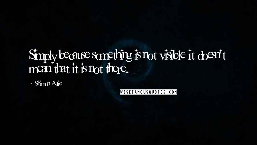 Shimon Attie Quotes: Simply because something is not visible it doesn't mean that it is not there.