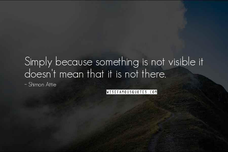 Shimon Attie Quotes: Simply because something is not visible it doesn't mean that it is not there.