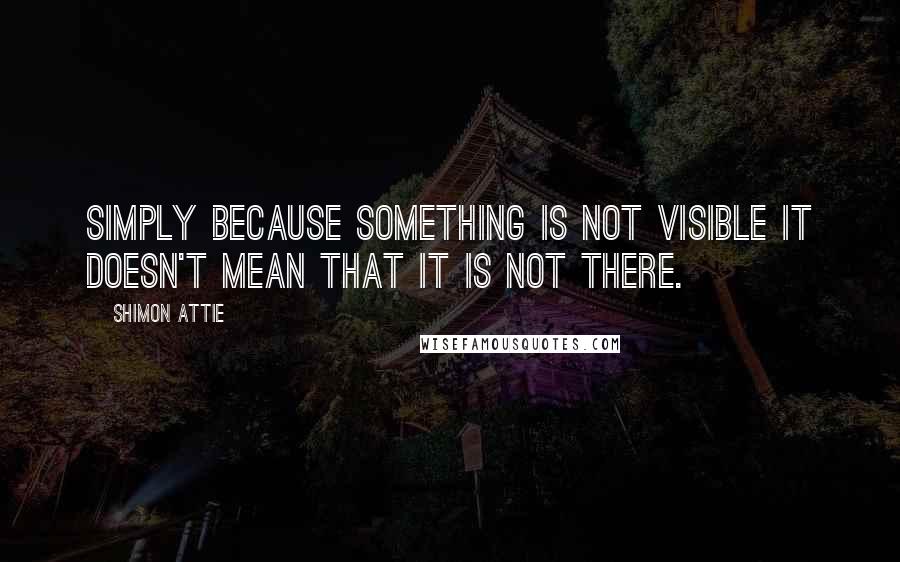 Shimon Attie Quotes: Simply because something is not visible it doesn't mean that it is not there.